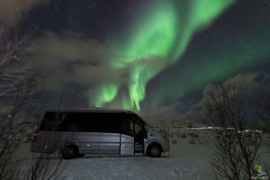 tromso northern lights bus tour