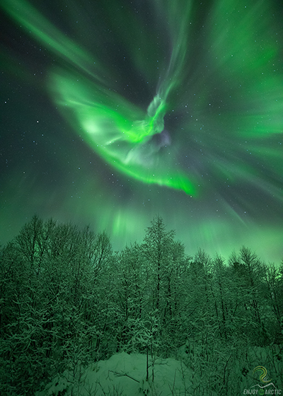 Tromsø Northern Lights Tour tour