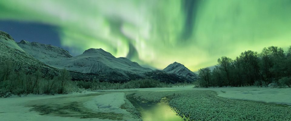 Share your best shots Photo Contest